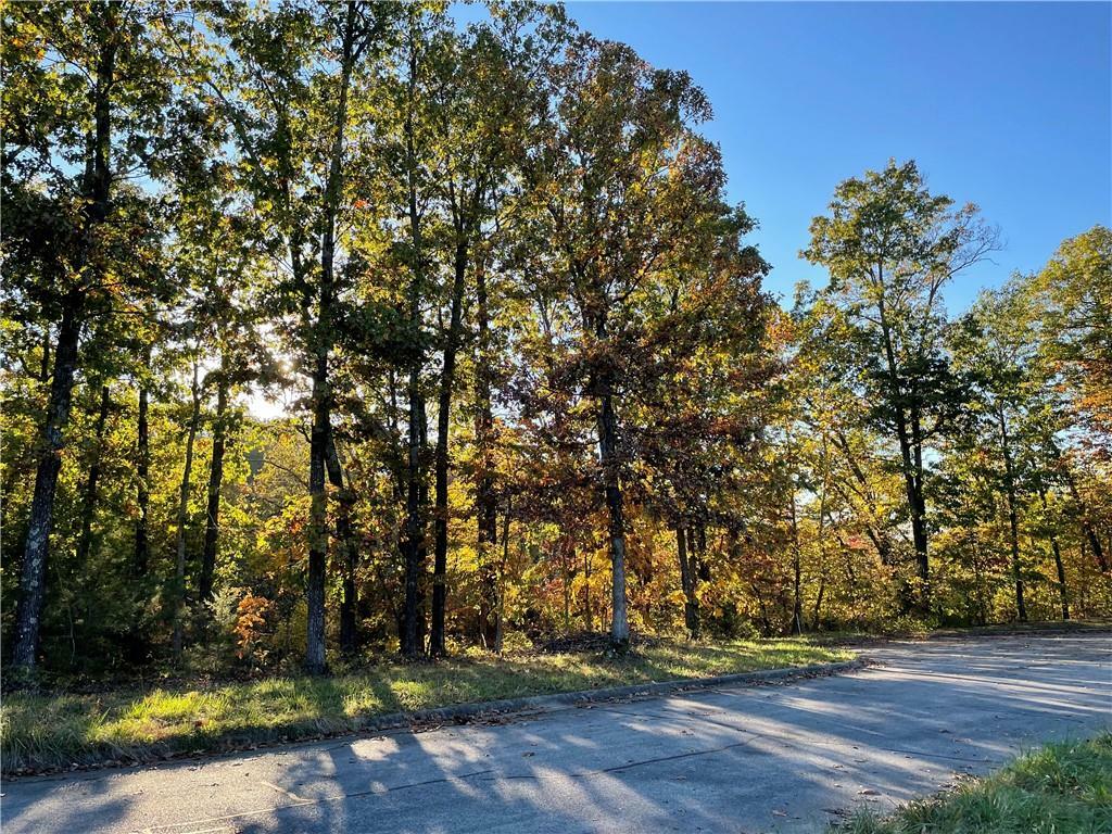 Property Photo:  Lot 20 Willis Lane  AR 72751 