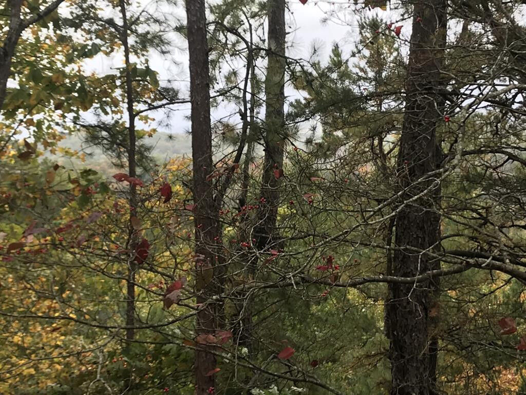 Property Photo: Lot 14 Emerald Springs Loop TN 37862