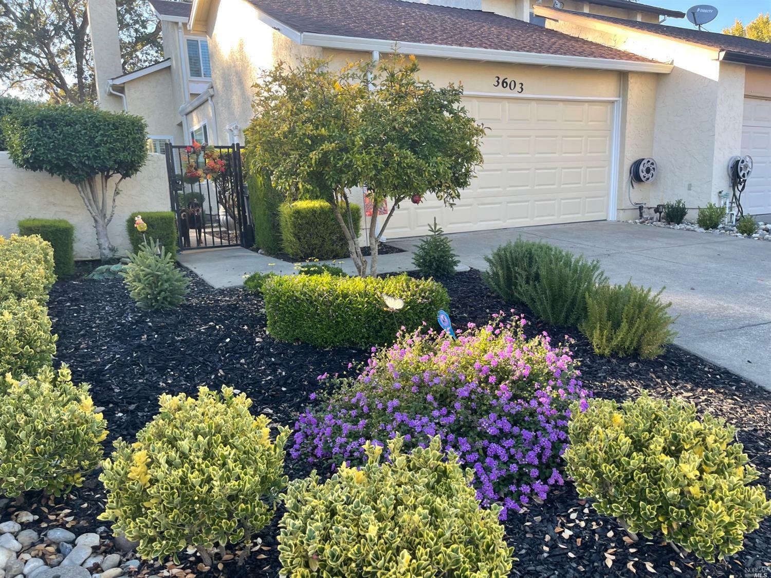 Property Photo:  3603 Springfield Drive  CA 94534 