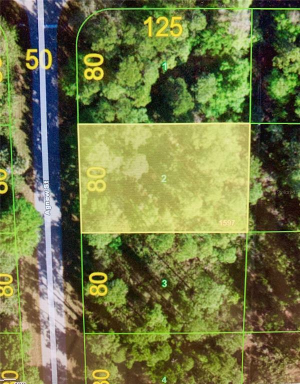 Property Photo: 1166 Agnew Street FL 33980