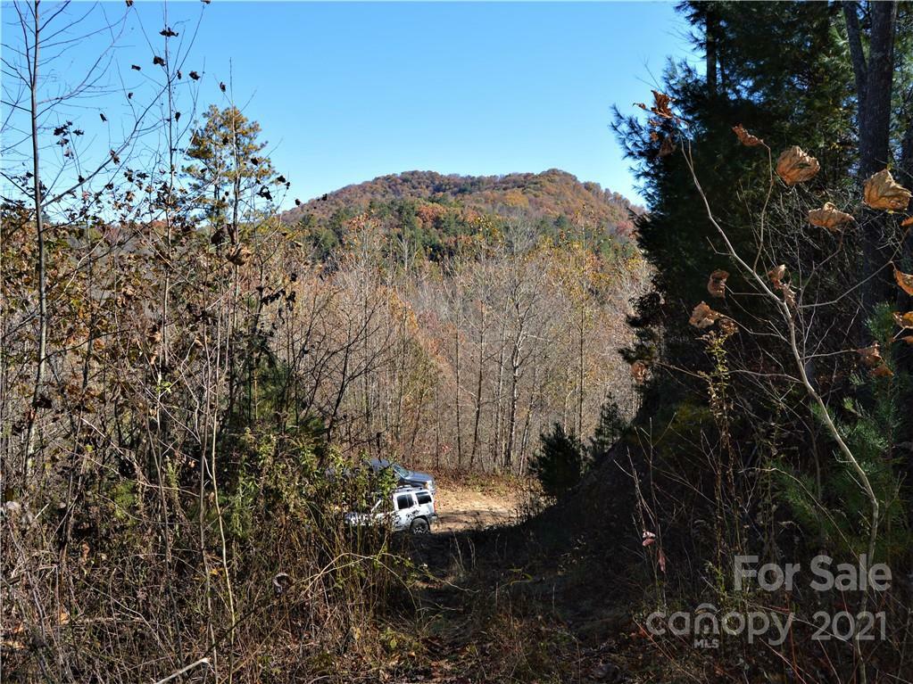 Property Photo:  #2 White Oak Road  NC 28785 