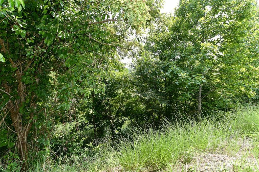 Property Photo:  Lot 9 The Vines Boulevard Lot 9  NC 28753 