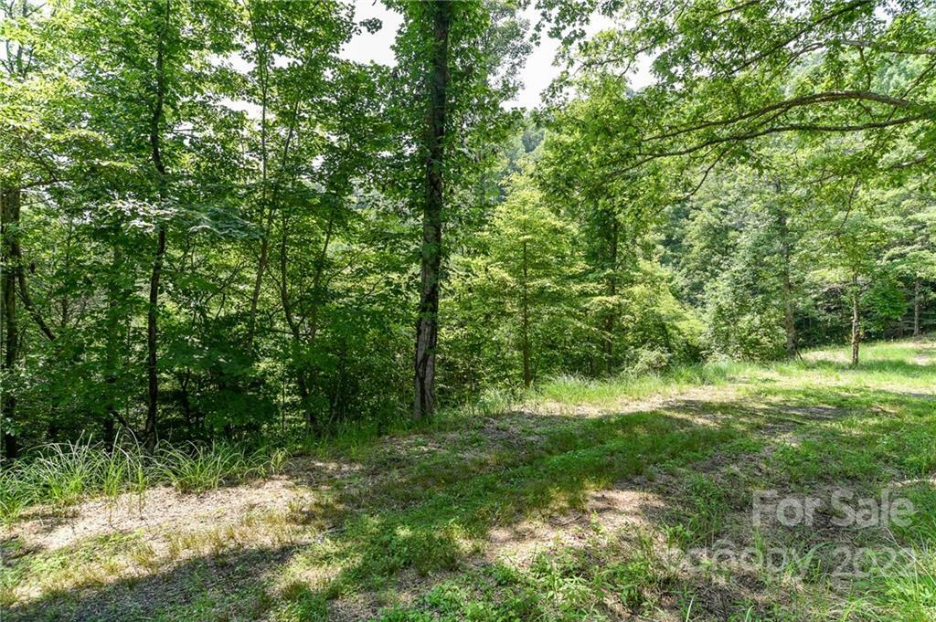 Property Photo:  Lot 13 The Vines Boulevard Lot 13  NC 28753 