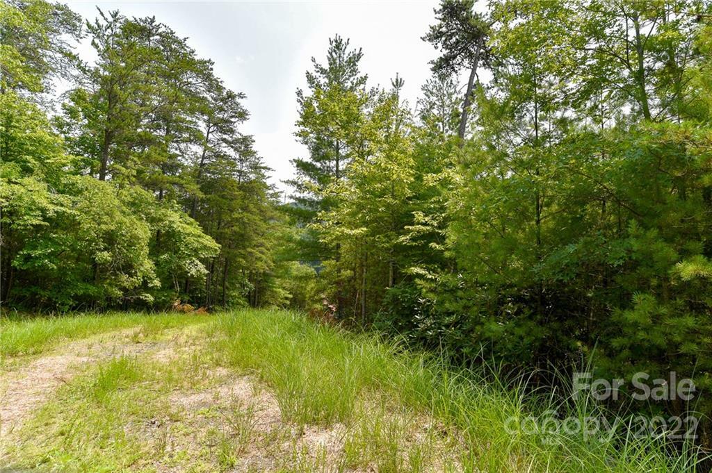 Property Photo:  Lot 22 The Vines Boulevard Lot 22  NC 28753 