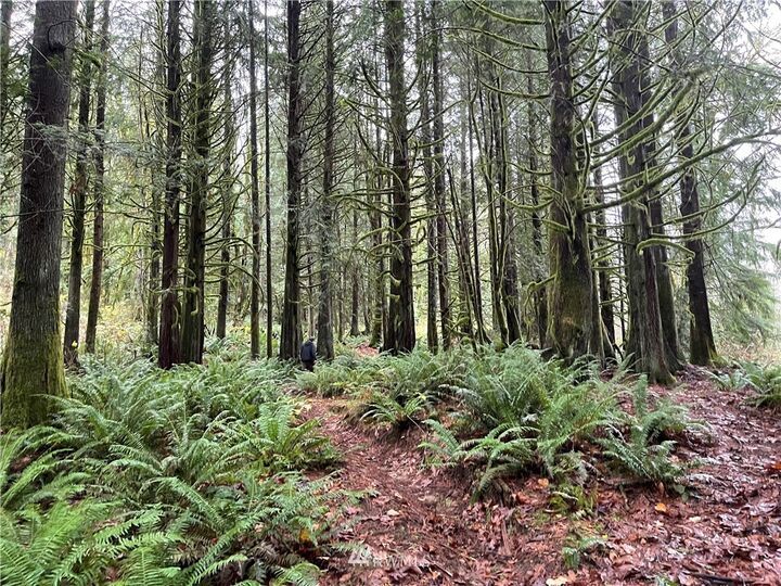 Property Photo:  273 Xn Old Pipeline Road  WA 98272 