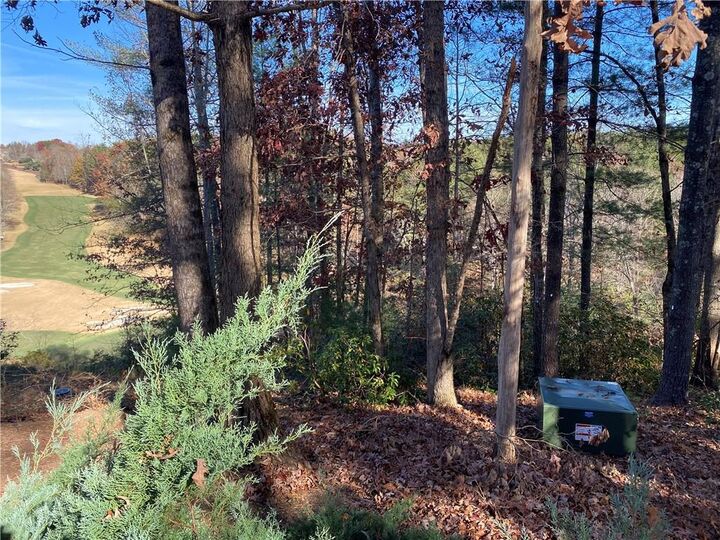 120 Course View Way  Sunset SC 29685 photo