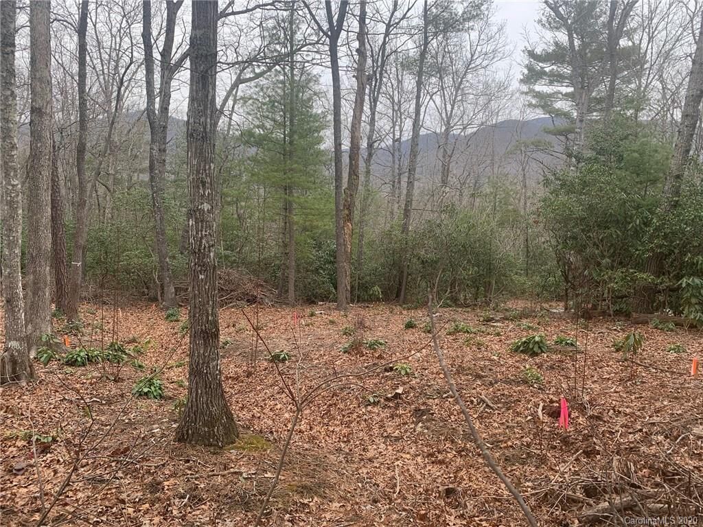 Property Photo: 99999 Lynnette Drive 2 NC 28730