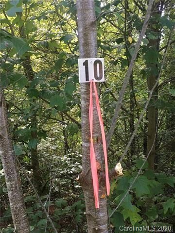 Property Photo:  2366 W Paradise Harbor Drive 10  NC 28612 