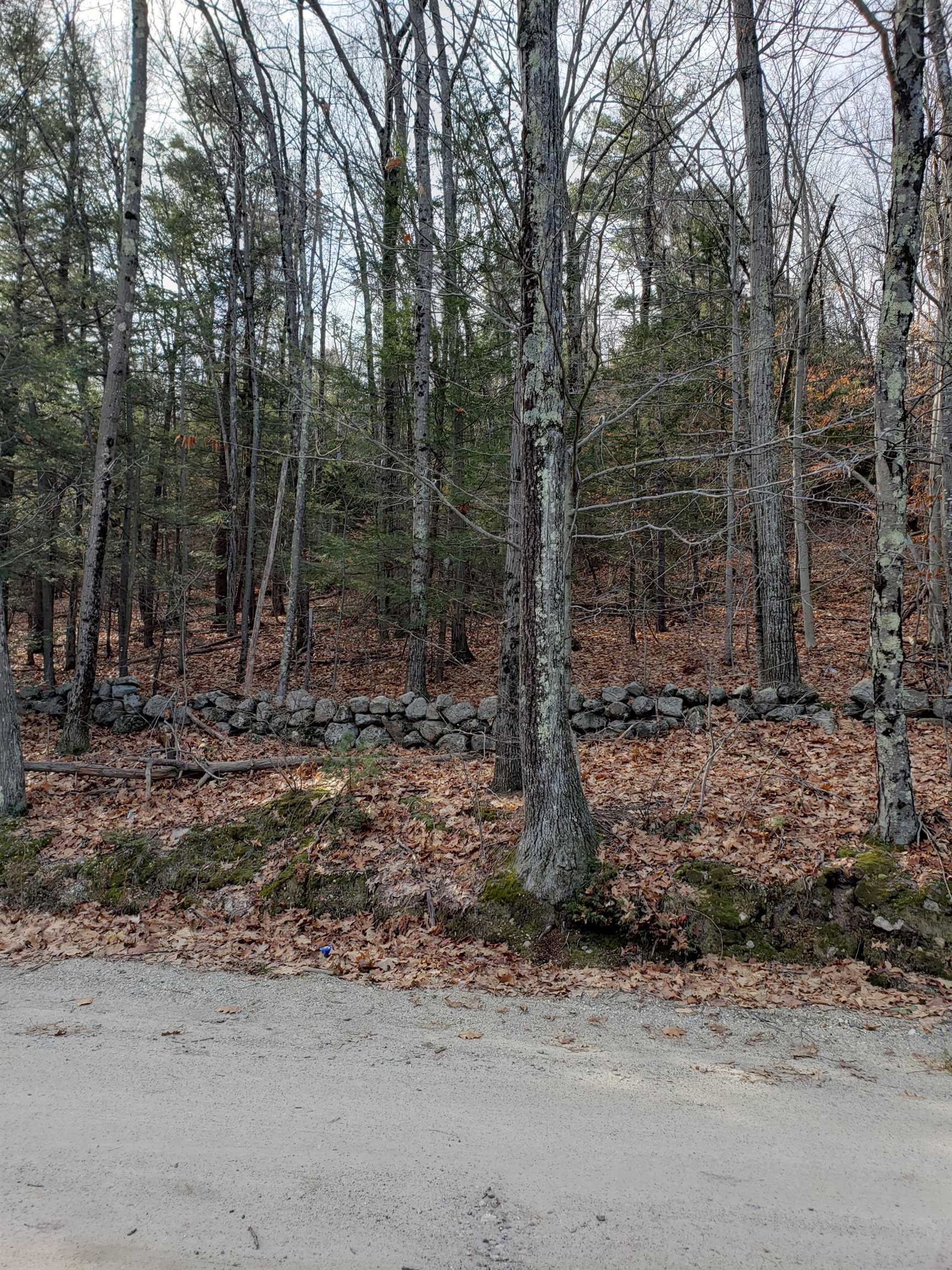 Property Photo:  Lot 2-75-4 Rt 45  NH 03084 