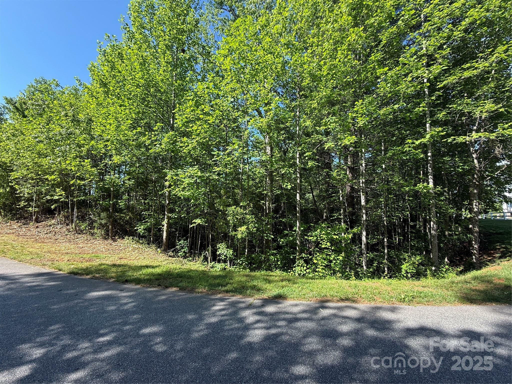 Property Photo: Lot 280 Whitman Court 280 NC 28681