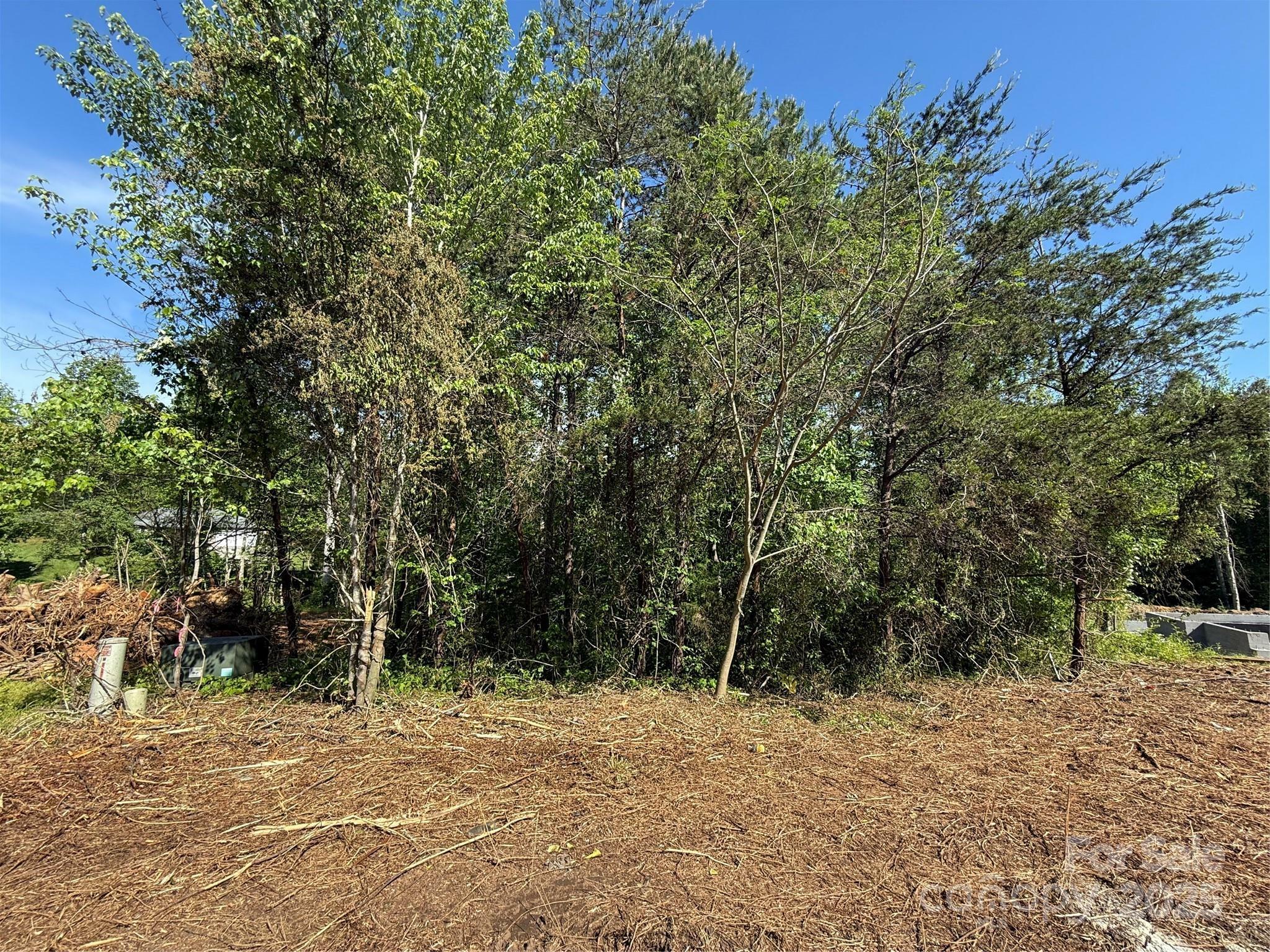 Property Photo: Lot 29 Wittenburg Springs Drive 029 NC 28681