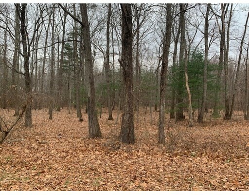 Property Photo:  10 Bird Ln (Lot 2A)  MA 02067 