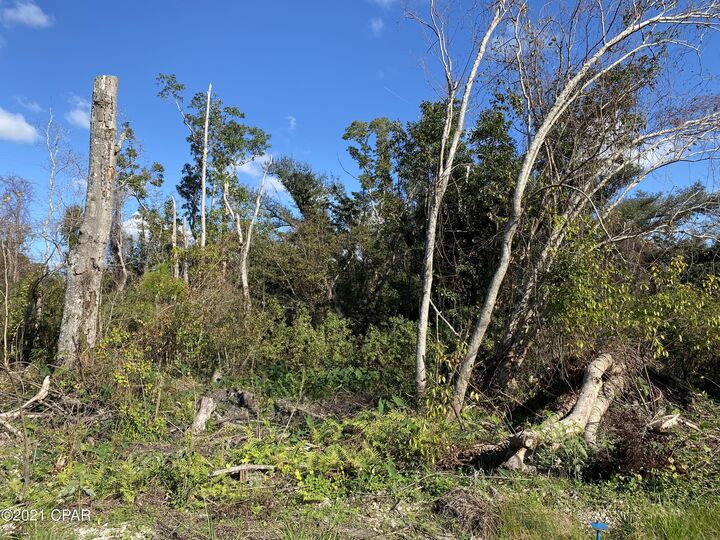 Property Photo:  000 Bayou Avenue  FL 32401 