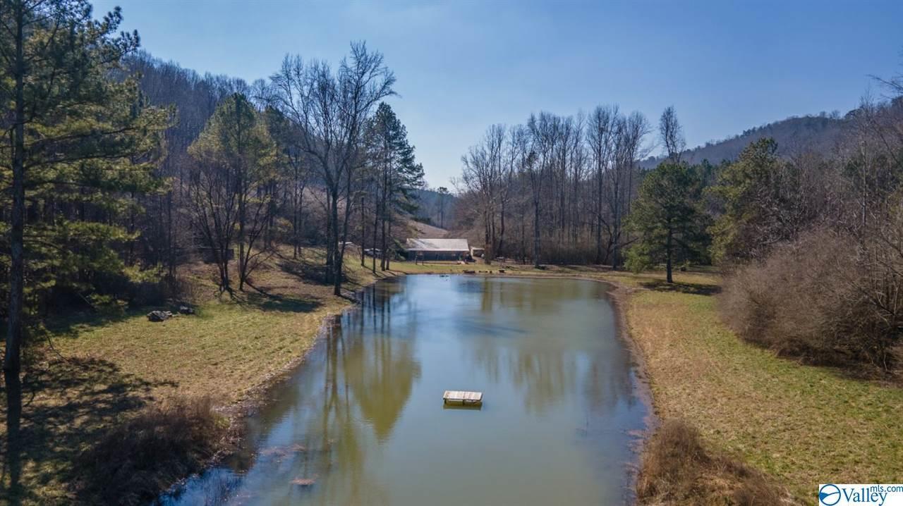 Property Photo: 959 County Road 223 AL 35961