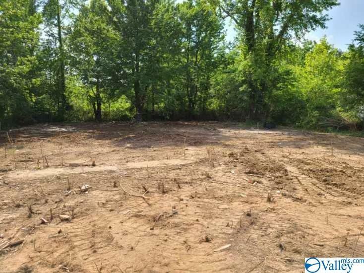 Property Photo:  3320 Old Railroad Bed Road  AL 35749 