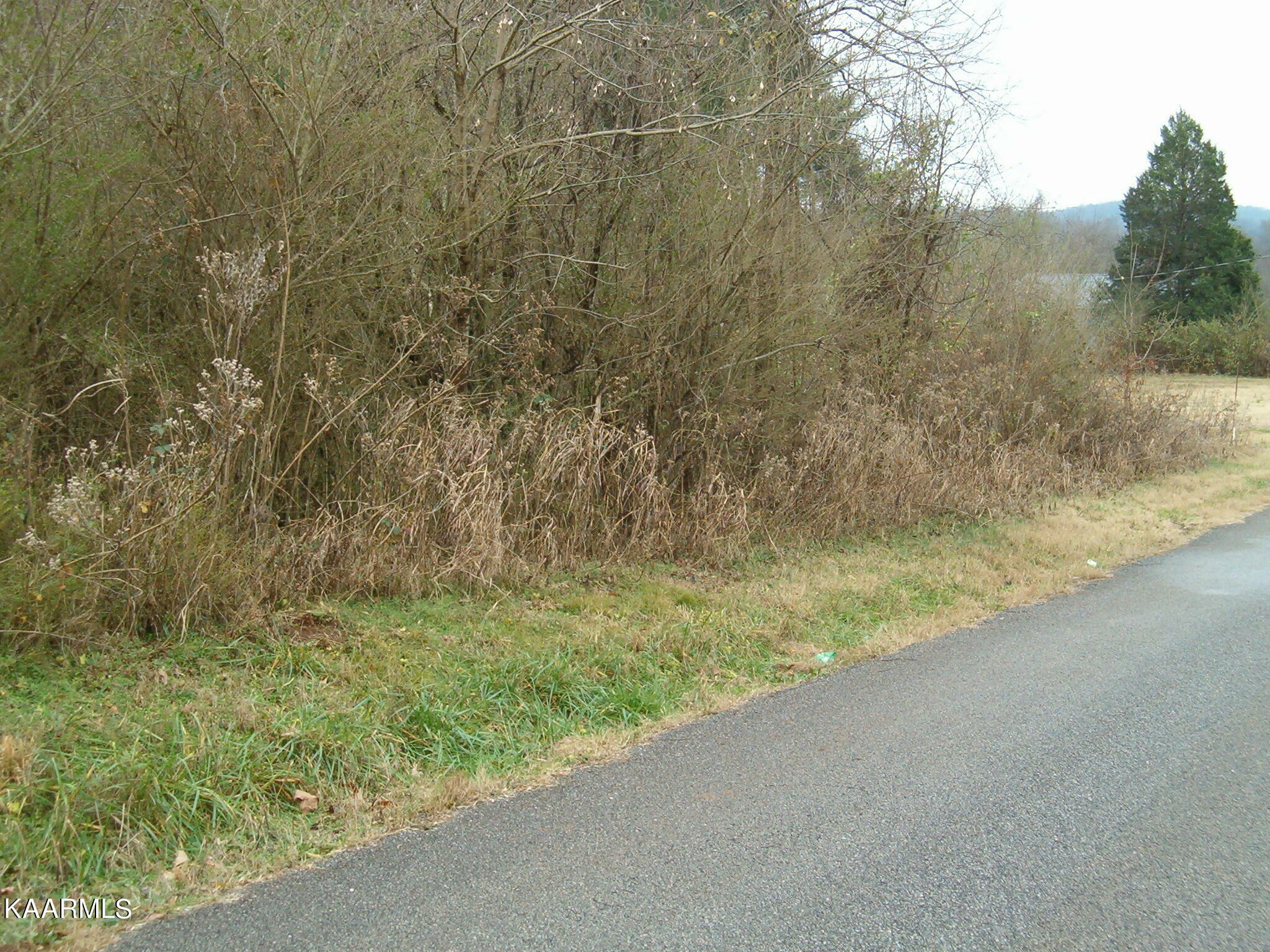 Property Photo:  Little Dogwood Rd  TN 37763 