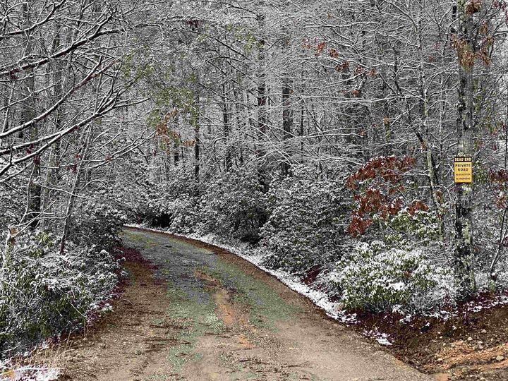 Lot 3 Skeenah Springs Road 3  McCaysville GA 30555 photo