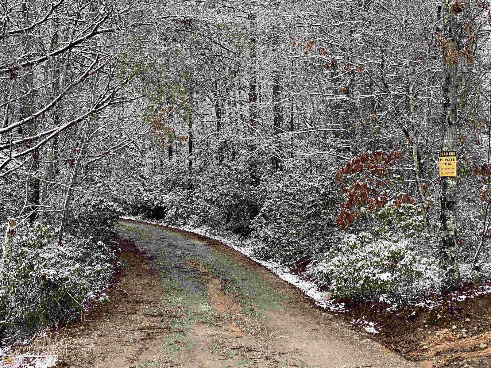 Property Photo: Lot 3 Skeenah Springs Road 3 GA 30555