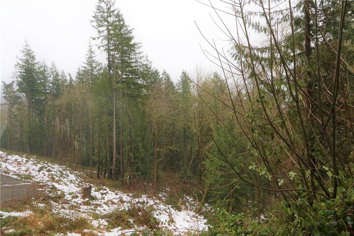 Property Photo: 0 Pauli Drive WA 98626