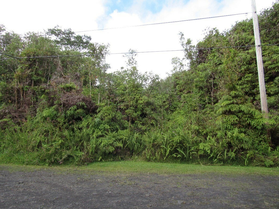 Property Photo: Mountain View Pl HI 96771