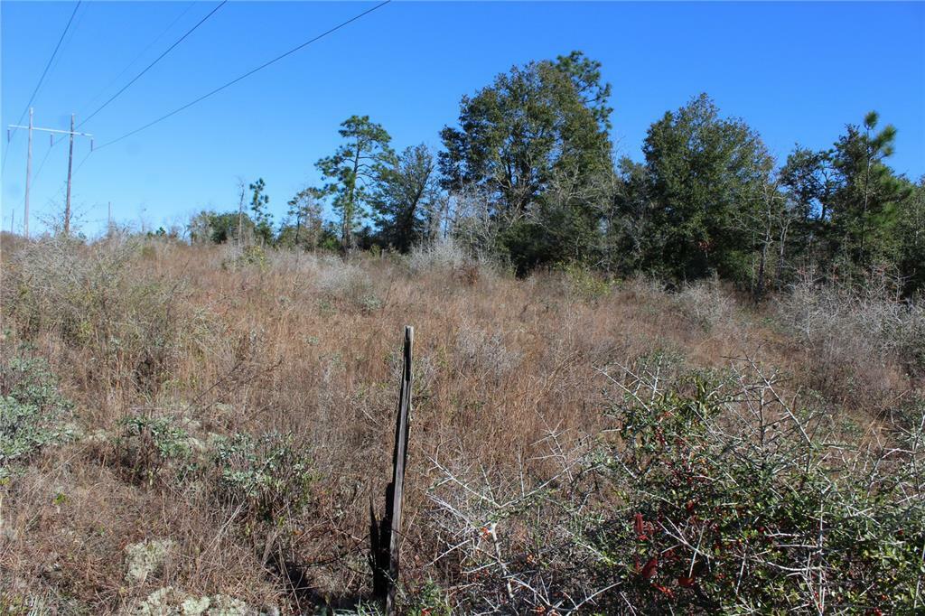 Property Photo: Orange Hill Road FL 32428