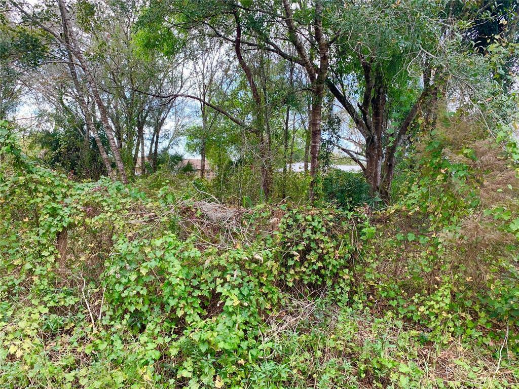 Property Photo: 10149 SW Levsky Avenue FL 34269
