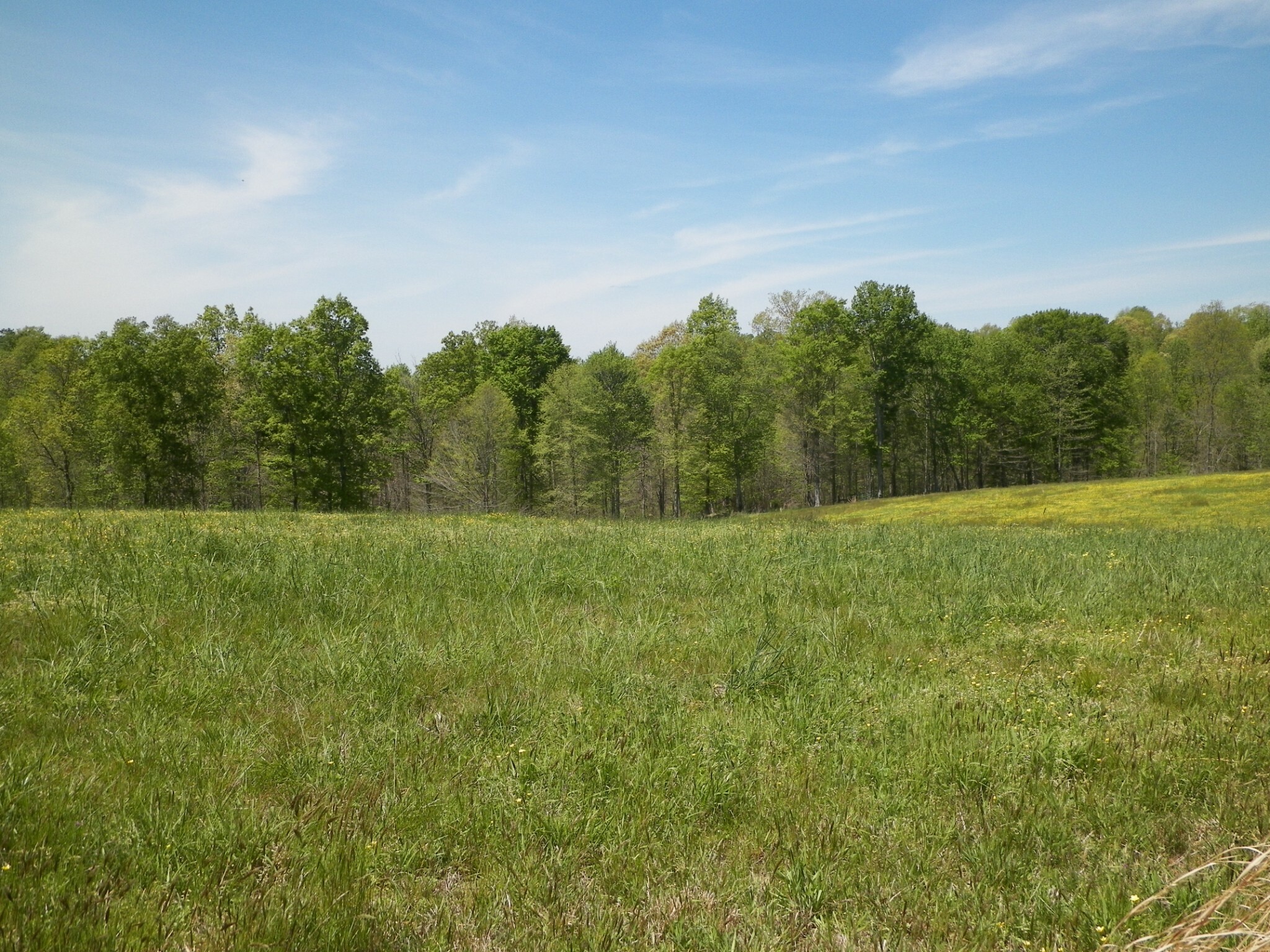 Property Photo: 13 Rose Hill Rd TN 37150