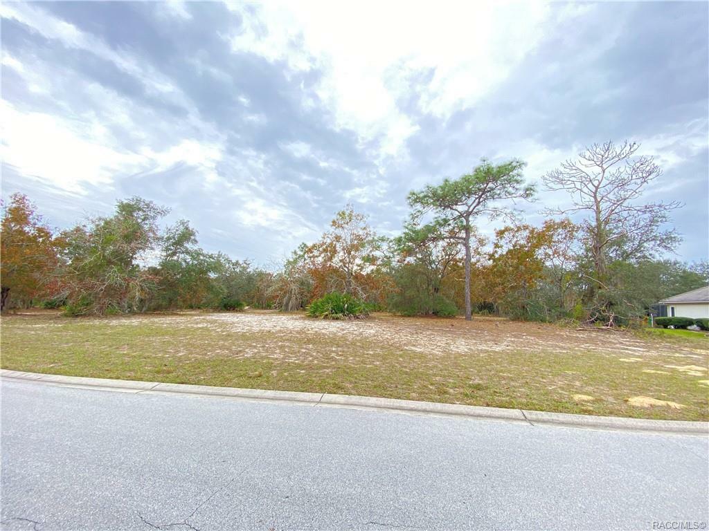 Property Photo:  3216 N Spyglass Village Path  FL 34461 