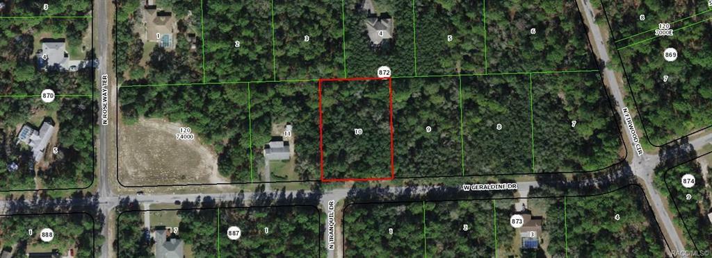 Property Photo:  4225 W Geraldine Drive  FL 34433 