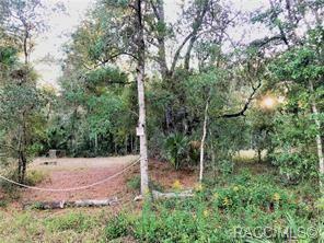 Property Photo:  13122 W Cornflower Drive  FL 34428 