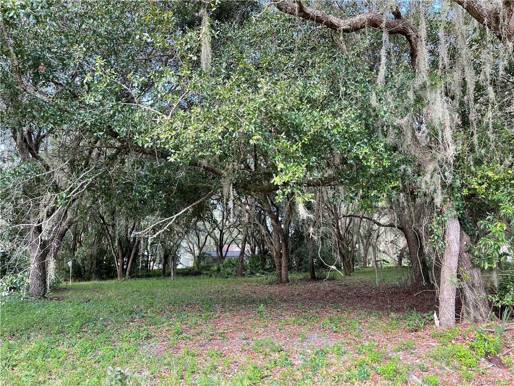 Property Photo:  9527 E Baymeadows Drive  FL 34450 