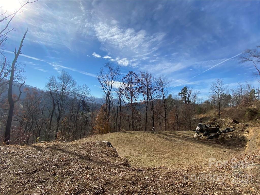 456 Whitfield Lane 140  Weaverville NC 28787 photo