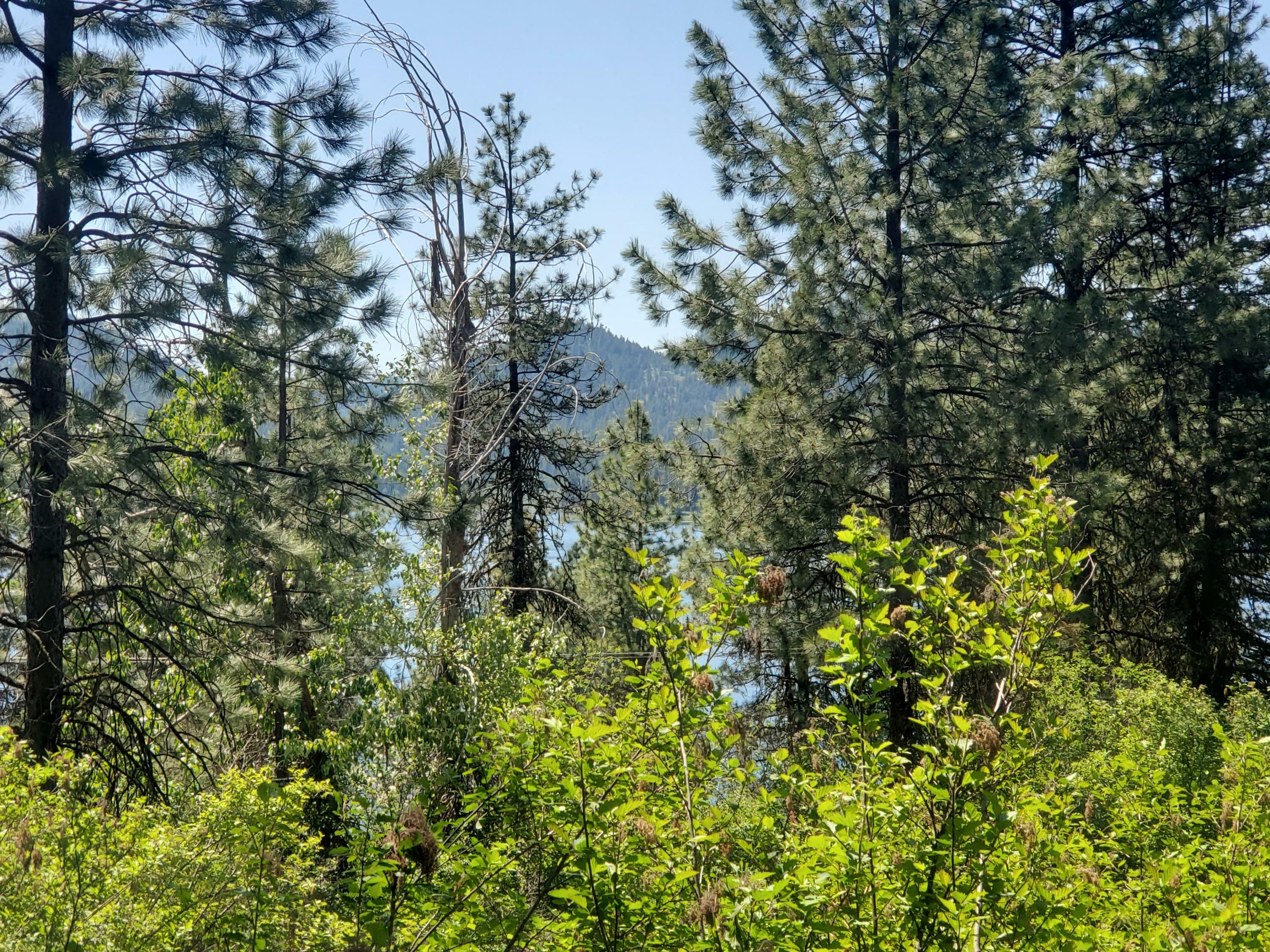 Property Photo:  Lot 11 Cowichan Dr  WA 99138 