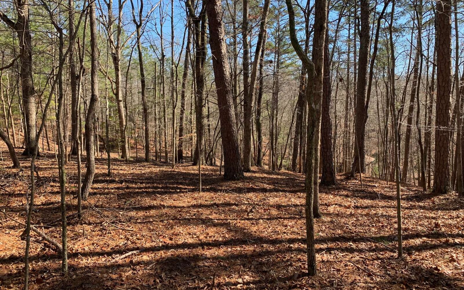 Property Photo:  0 Norse Court  GA 30540 