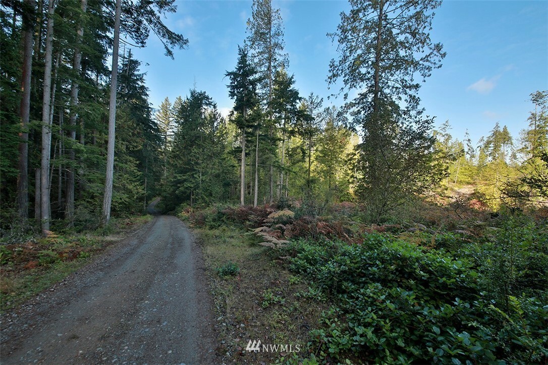 Property Photo:  0 Parcel E Silent Cedars Lane  WA 98260 