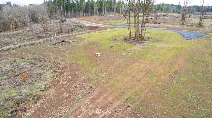 0 Haywire Road Lot 4  Napavine WA 98596 photo