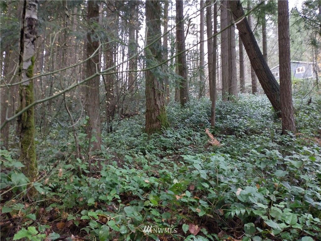 Property Photo:  380 Prospect Avenue  WA 98532 