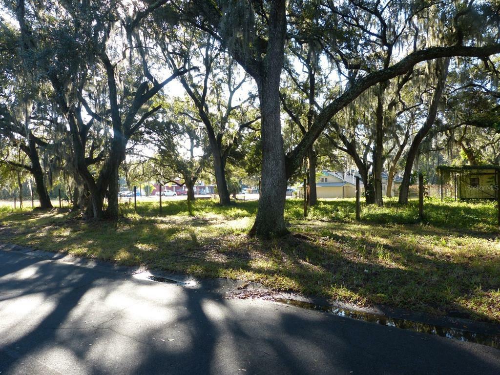 Property Photo:  101 El Greco Drive  FL 33511 