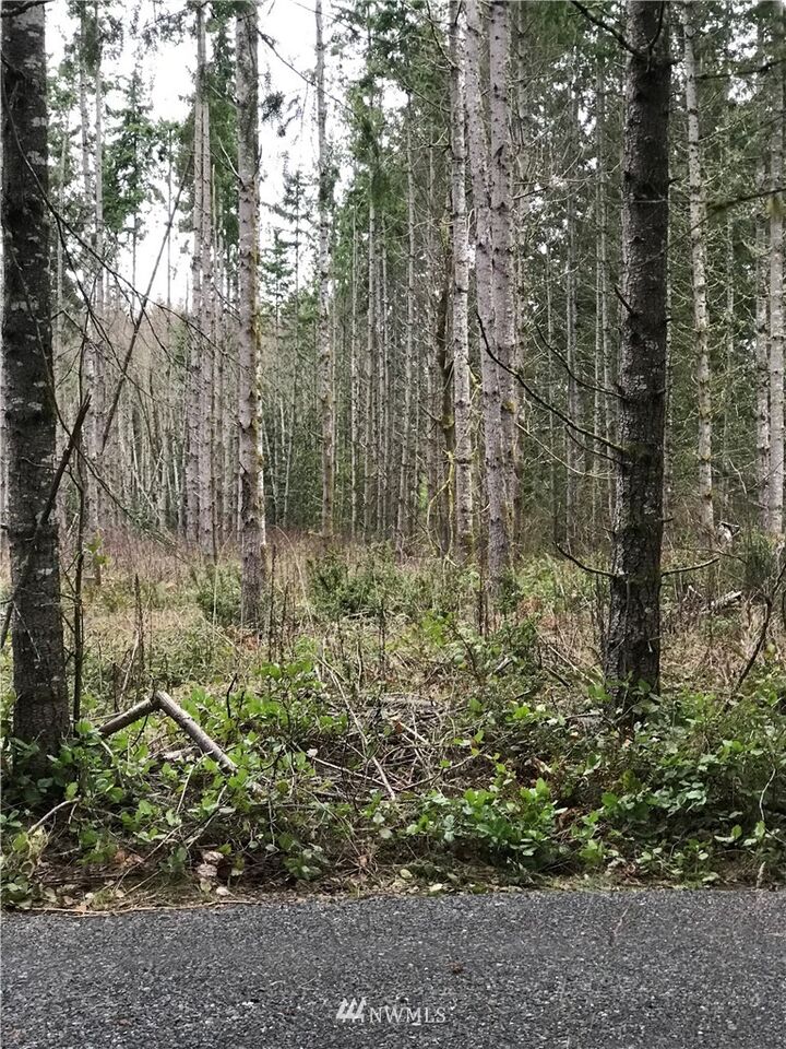 Property Photo:  0 NE Sawdust Hill Road Lot 1  WA 98370 