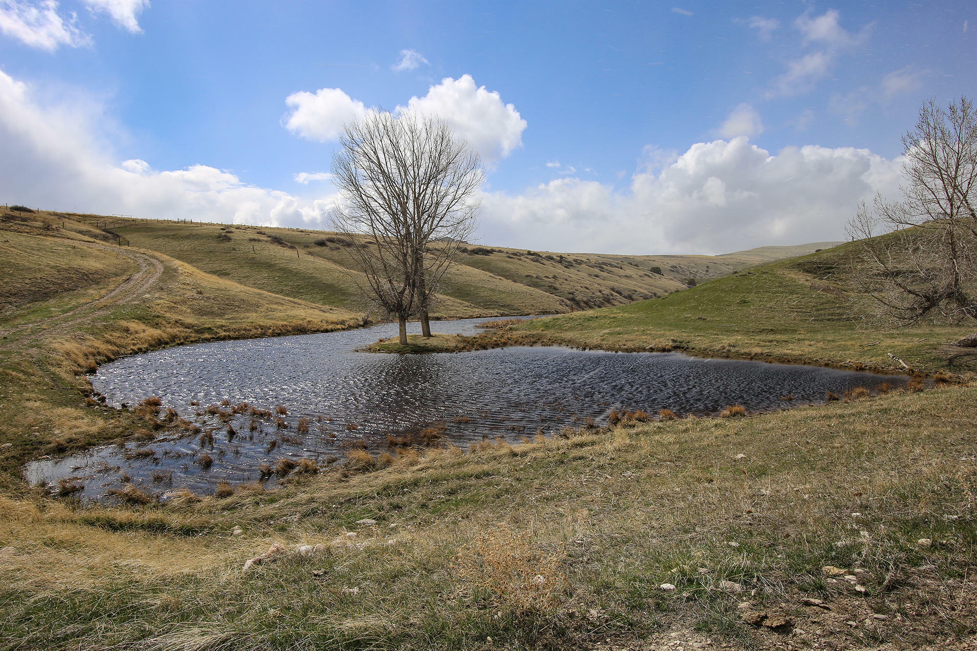 Property Photo:  Tbd Sawyers Street  WY 82801 