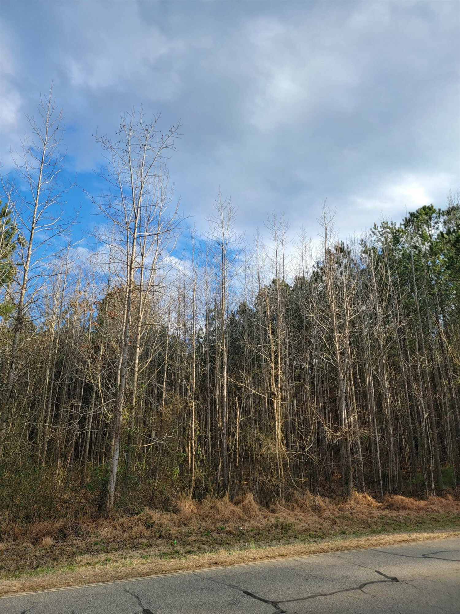 Property Photo:  00 Taylors Gin Road  NC 27816 