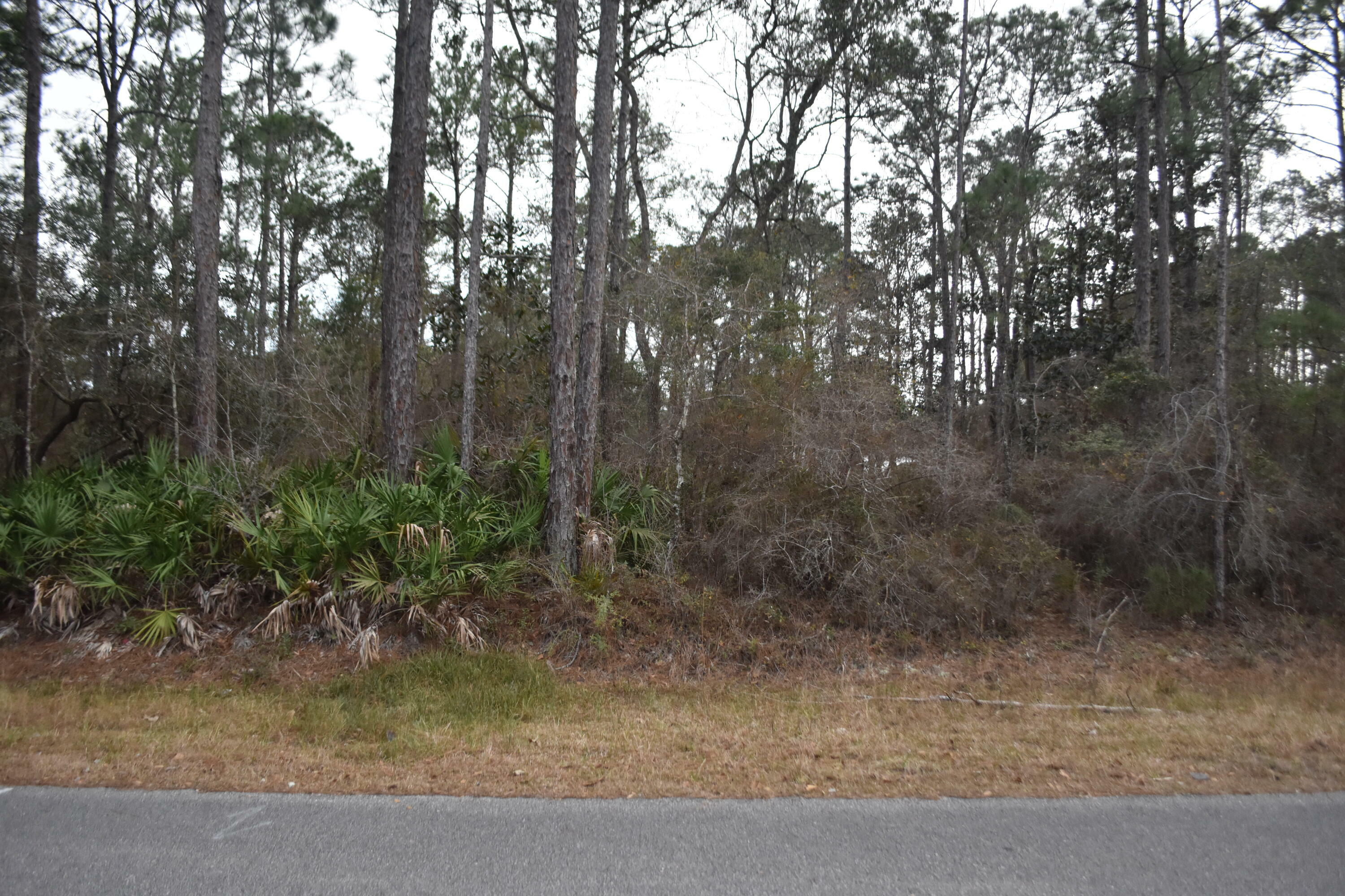 Property Photo:  Lot 21D Shoreline Drive  FL 32439 