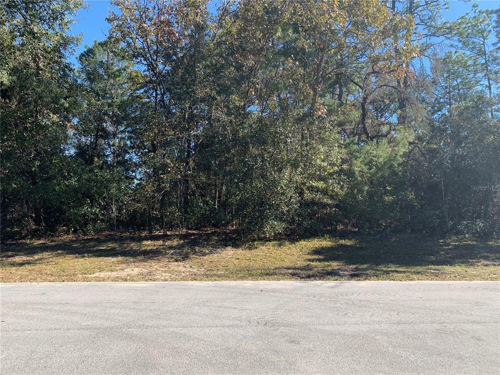 Property Photo:  0000 SW 155th Loop  FL 34473 