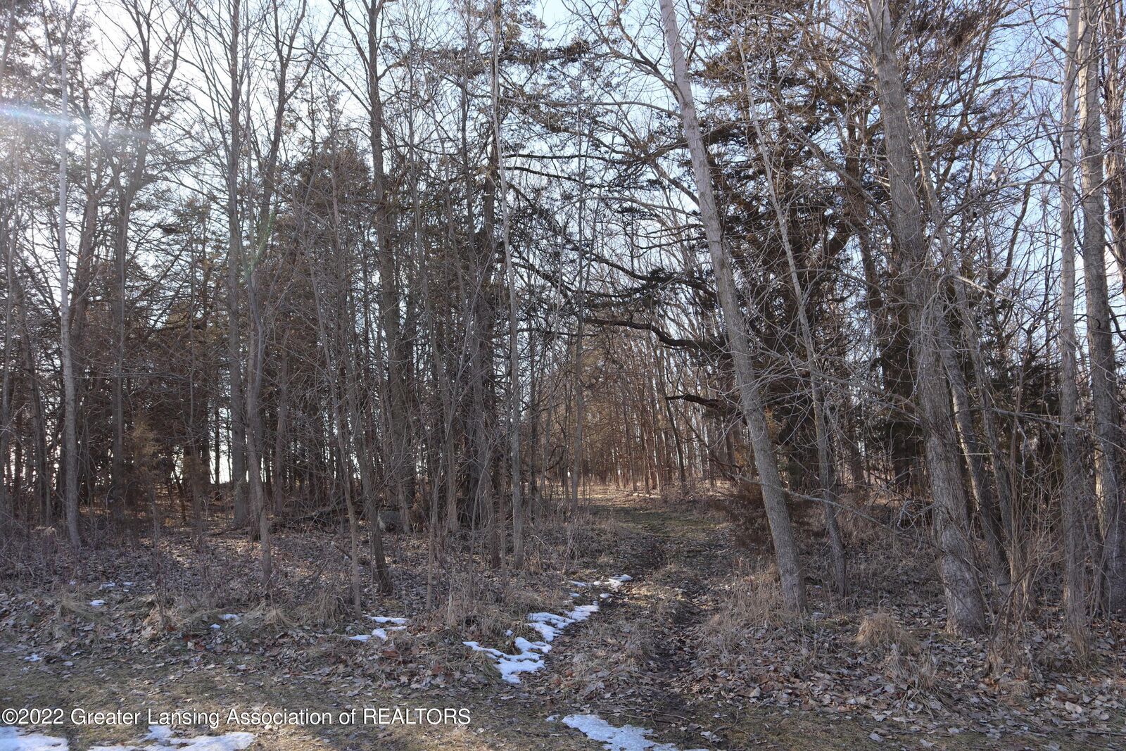 Property Photo:  36 Cedar Ridge Drive  MI 48875 