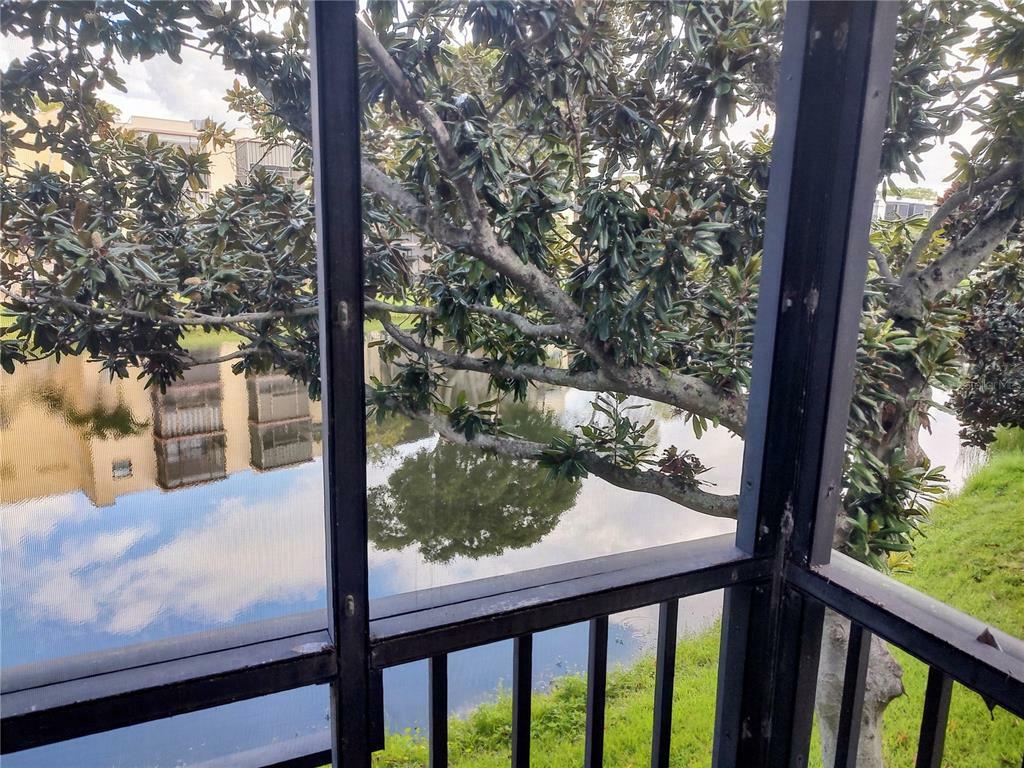 Property Photo: 7941 58th Avenue N 206 FL 33709