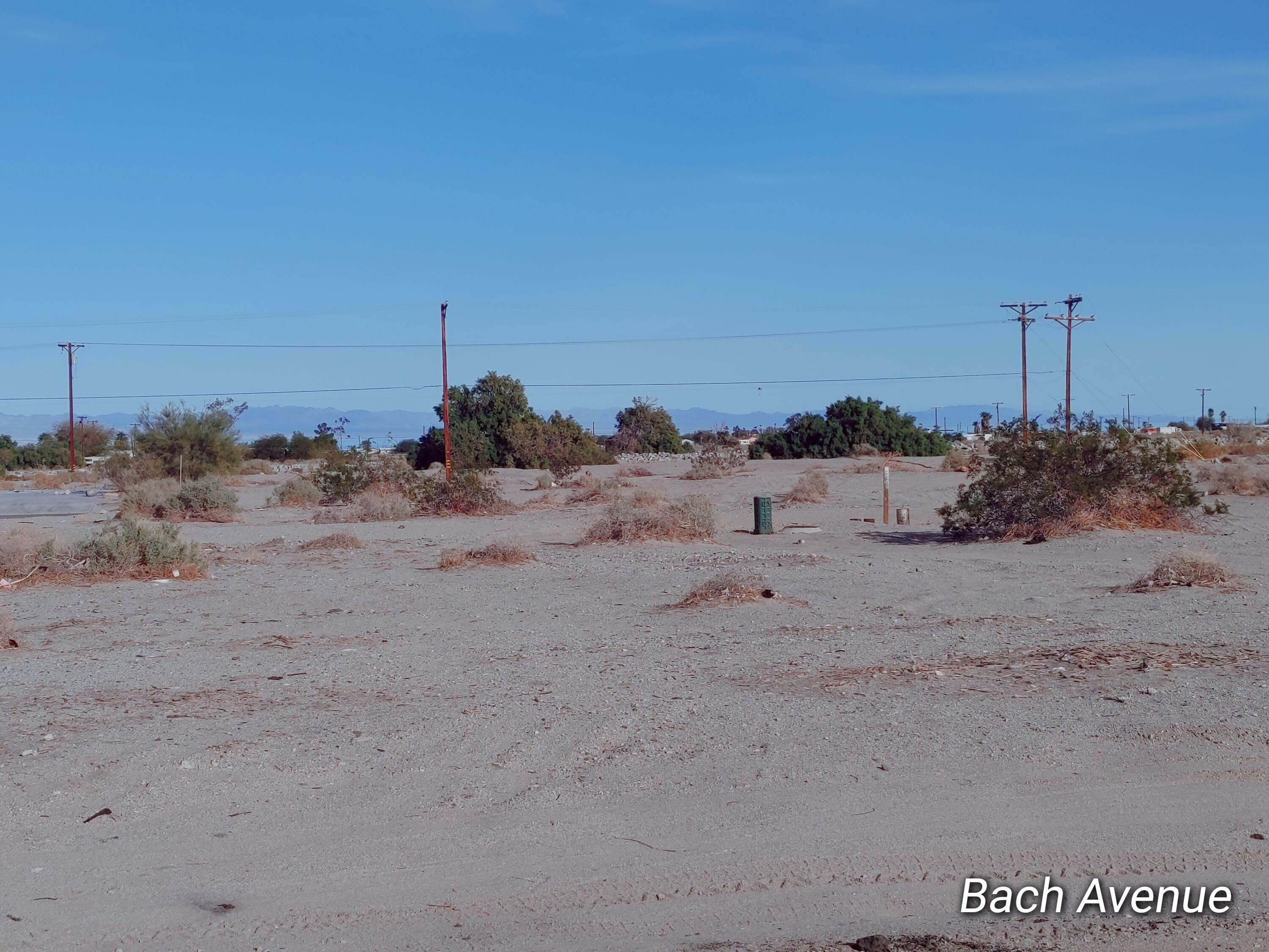 Property Photo: 0 Bach Avenue CA 92275