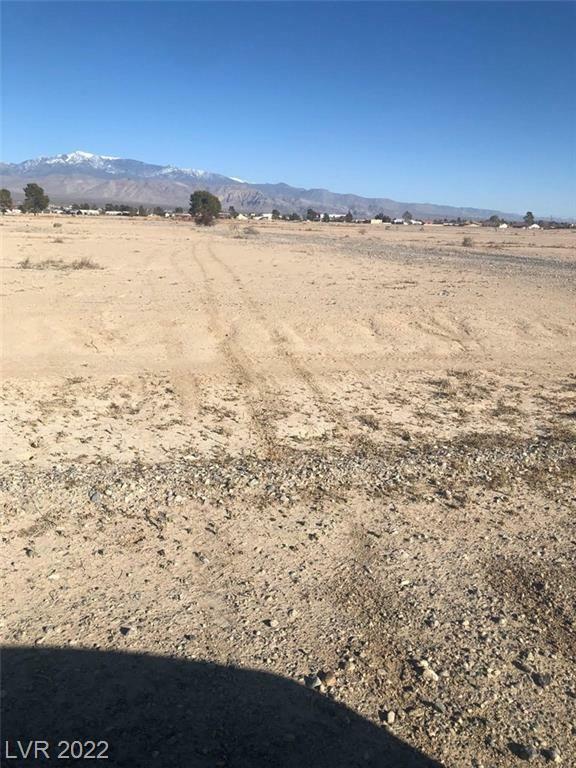 Property Photo:  2550 West Jaybird Street  NV 89048 