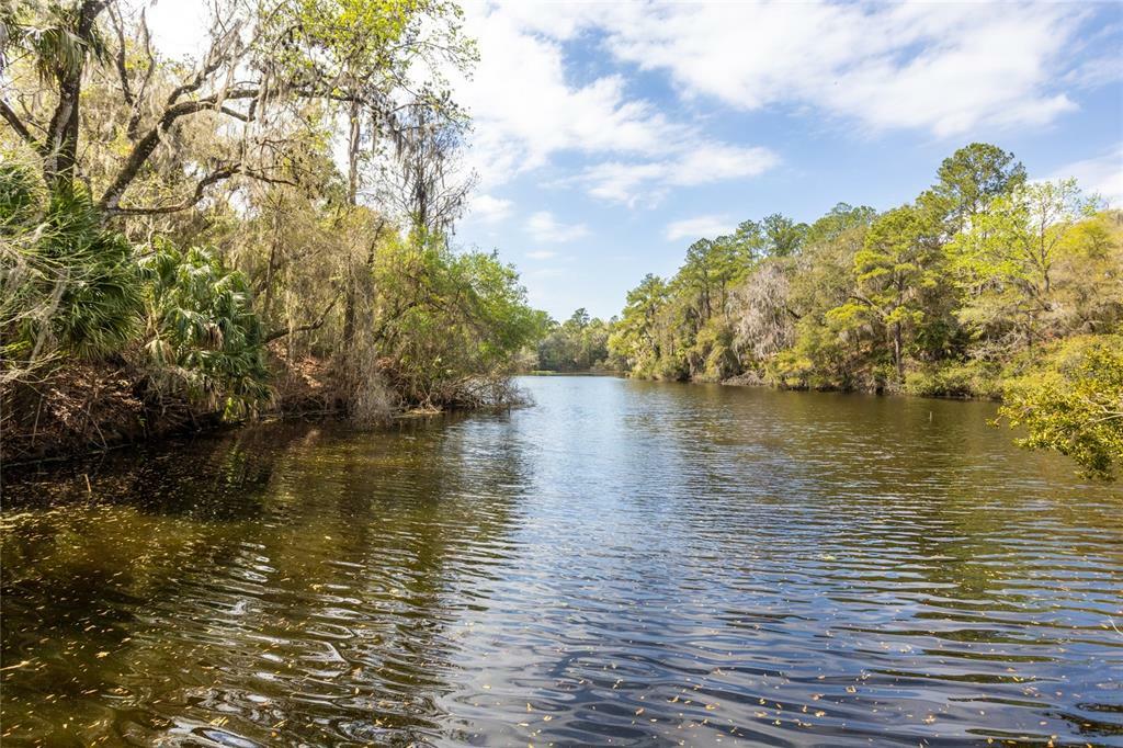 Property Photo:  Mustang Drive  FL 34432 