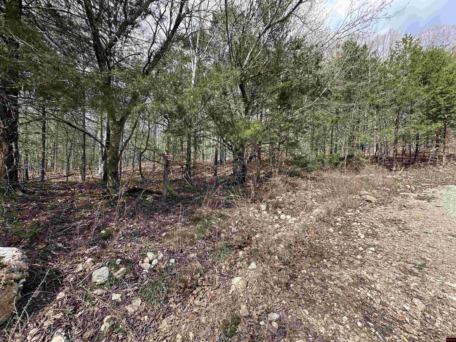 Property Photo:  580-00005-016 Dovewood Lane  AR 72634 