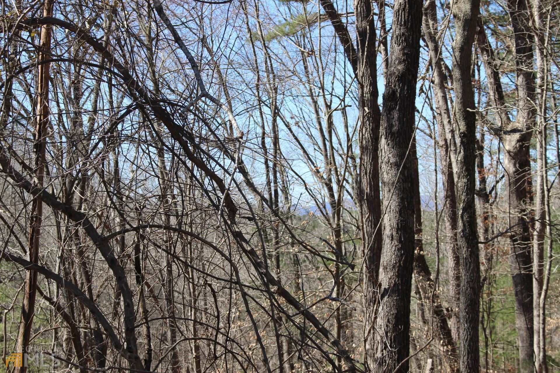 Lt221 Mohawk Trail  Ellijay GA 30540 photo